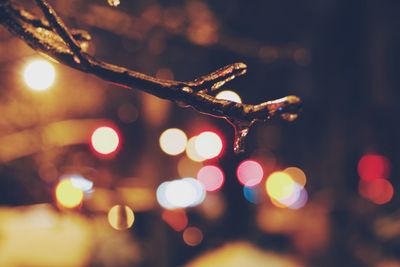 Close-up of illuminated snow at night