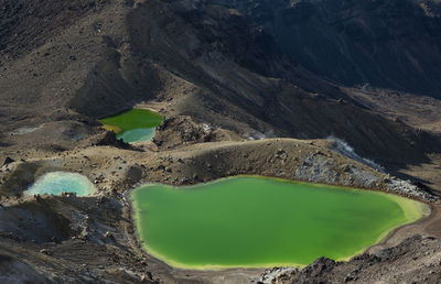 High angle view of green landscape against lake