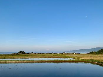 Scenic view of agricultural field against blue sky