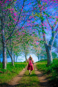 Woman standing amidst trees and plants