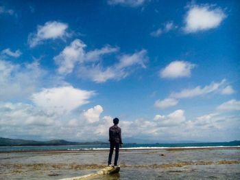 Rear view of man standing on beach