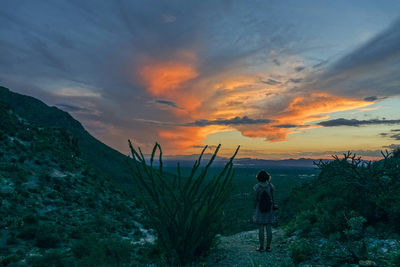 Dramatic sky over landscape