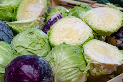 Green and red cabbage for sale at a farmer's market stall