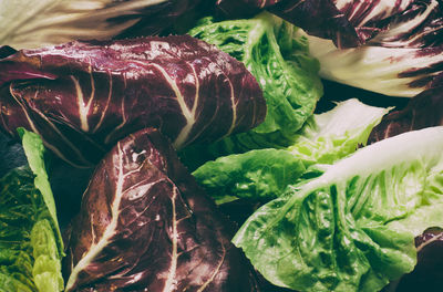 High angle view of vegetables