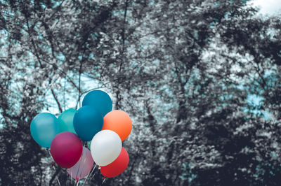 Low angle view of balloons against trees