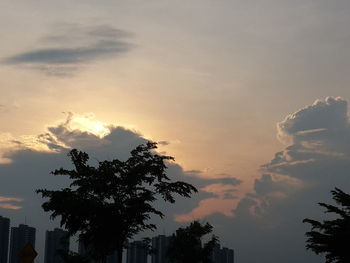 Low angle view of silhouette tree against sky during sunset