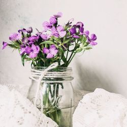 Close-up of pink flowers in vase