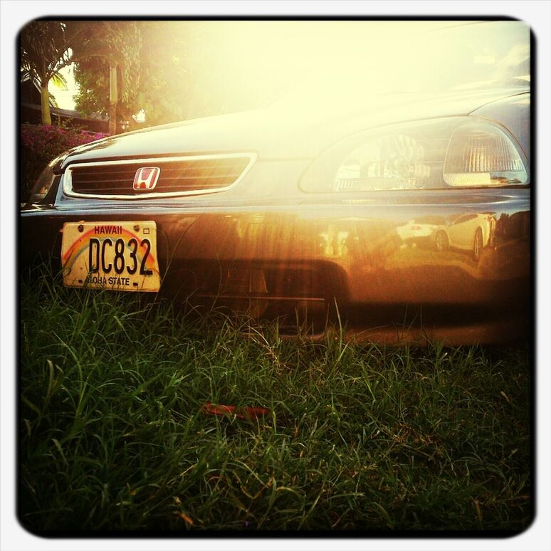 transfer print, grass, auto post production filter, field, grassy, yellow, text, western script, communication, outdoors, growth, plant, nature, sunlight, sunset, transportation, no people, tree, close-up, car