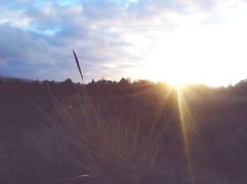 Scenic view of landscape against sky at sunset