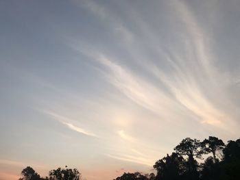 Low angle view of silhouette trees against sky