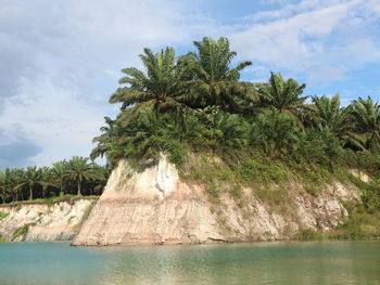 Palm tree by sea against sky