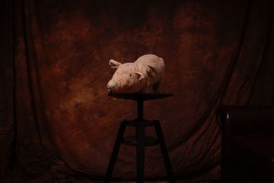 Close-up of bird on table