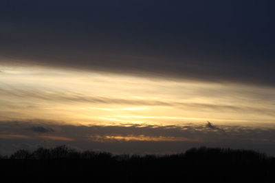 Silhouette trees against sky at sunset