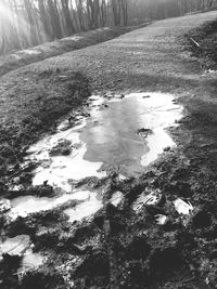 High angle view of trees on landscape during winter