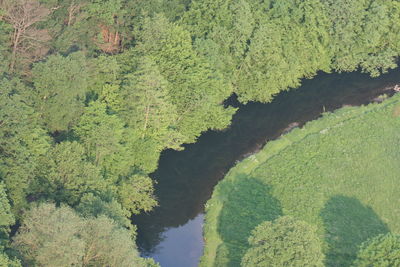 High angle view of river amidst trees in forest