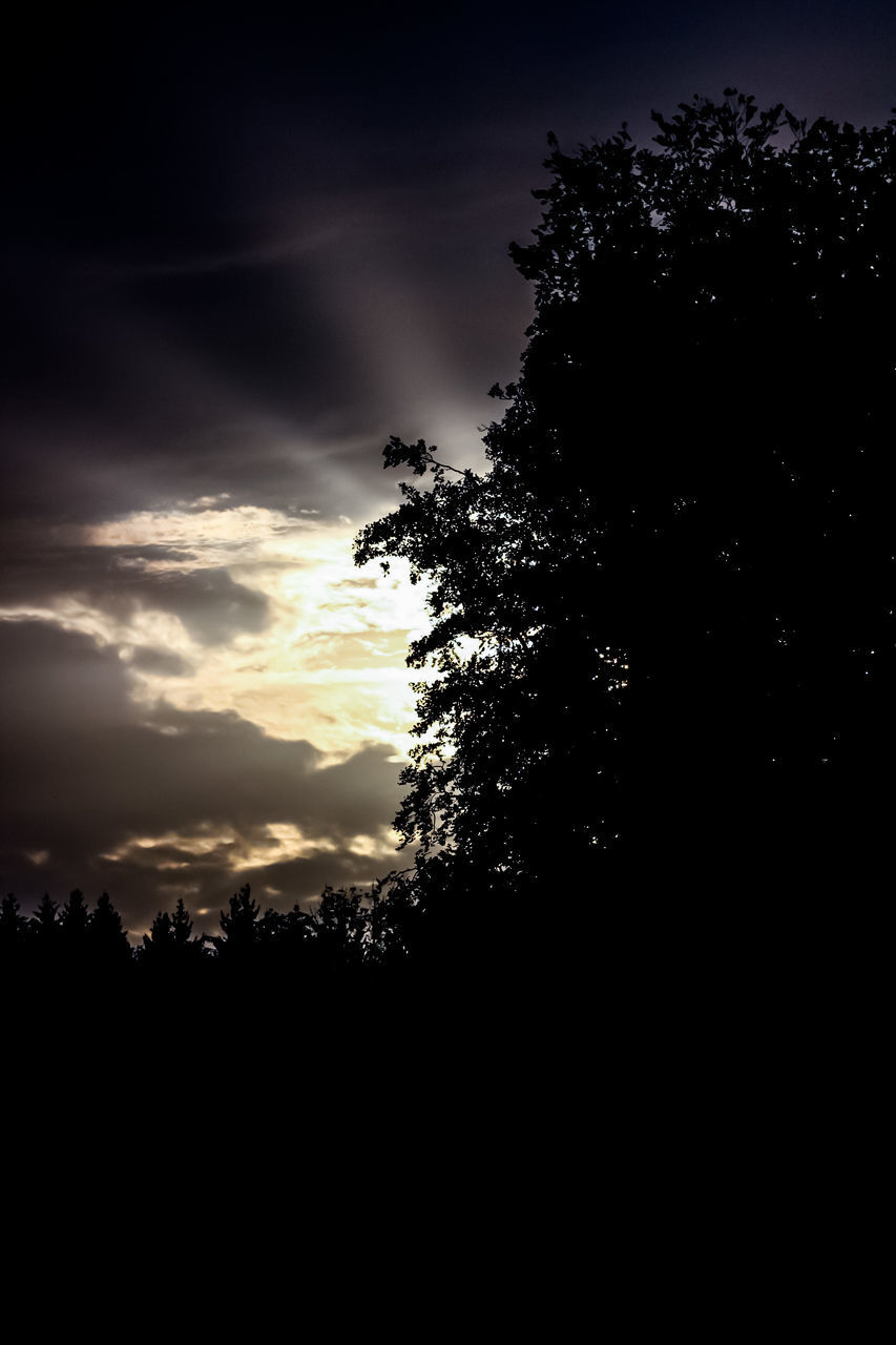 sky, darkness, tree, silhouette, cloud, plant, beauty in nature, nature, light, night, scenics - nature, tranquility, no people, tranquil scene, dark, environment, sunset, outdoors, growth, dramatic sky, dusk, landscape, idyllic, evening, copy space, moonlight, non-urban scene