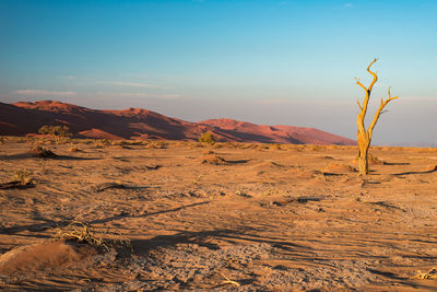 Scenic view of desert against sky