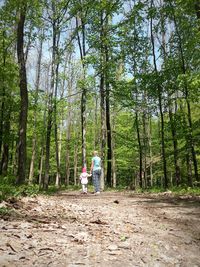 Rear view of people walking on road amidst trees in forest