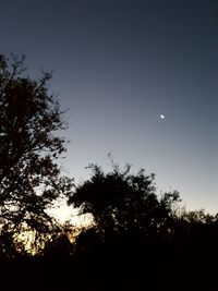 Low angle view of silhouette trees against sky at night