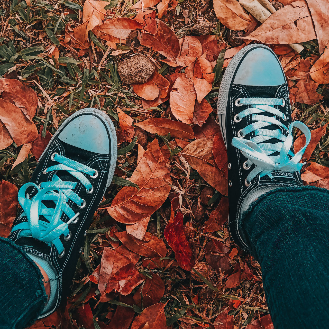 LOW SECTION OF PERSON WITH AUTUMN LEAVES ON LAND