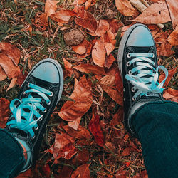 Low section of person wearing autumn leaves on land