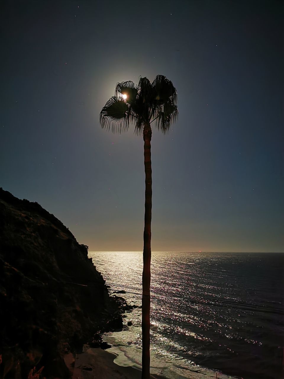 SILHOUETTE TREE ON BEACH AGAINST SKY AT NIGHT