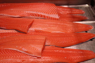 Close-up of red rose