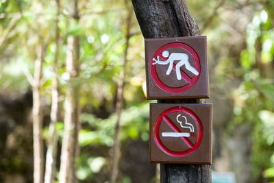 Close-up of warning sign on tree trunk