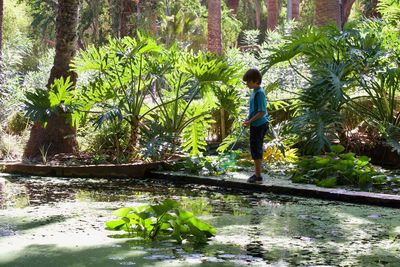 Boy standing by tree against plants