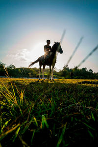 Young man riding horse