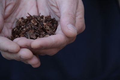 Close-up of hand holding leaf