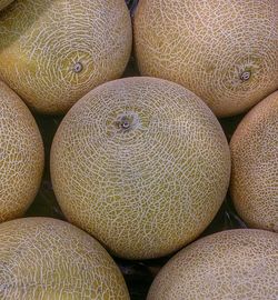 Full frame shot of muskmelons