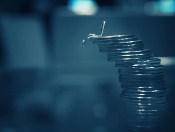 Close-up of a bird flying