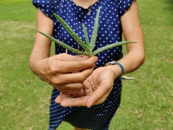 Midsection of woman holding purple flower on field