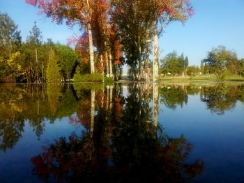 Reflection of trees in lake against sky