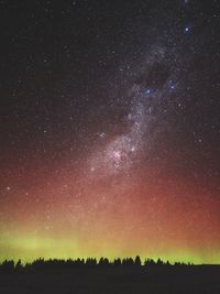 Silhouette trees against sky at night