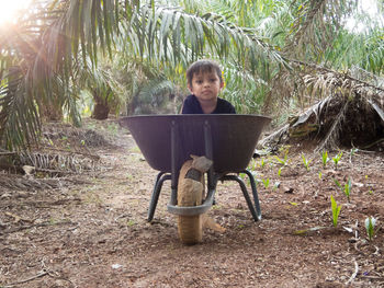 Portrait of boy sitting in wheelbarrow