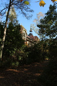 Low angle view of trees and building against sky