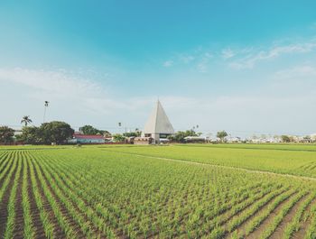 Scenic view of field against sky