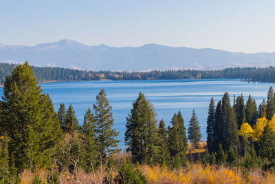 Scenic view of lake by trees against sky