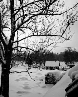 Bare trees on snow covered field against sky