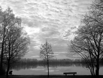 Silhouette bare trees by plants against sky