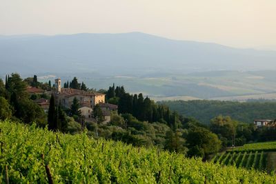 Scenic view of rural landscape