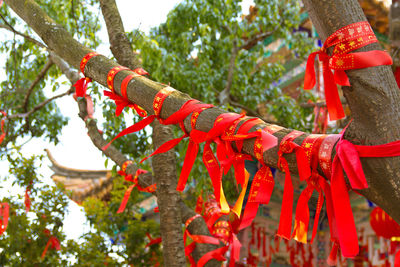 Close-up of red bell hanging on tree in temple