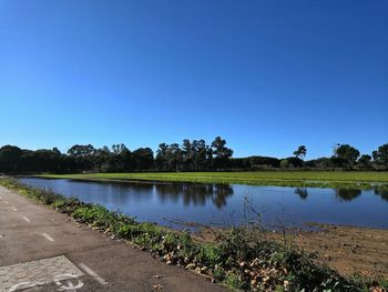 Scenic view of lake against clear blue sky