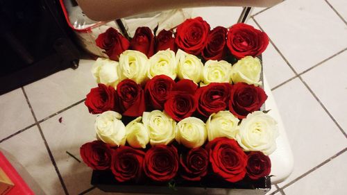 High angle view of red flowers