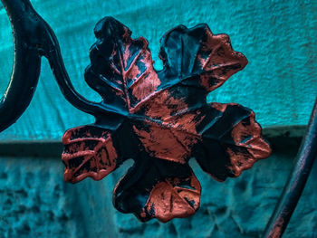 Close-up of dry leaves on blue water