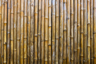 Full frame shot of bamboo fence