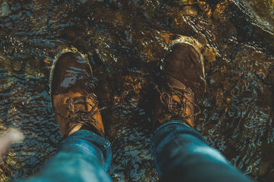 Low section of man standing in stream