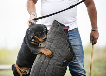 Midsection of man holding dog standing outdoors